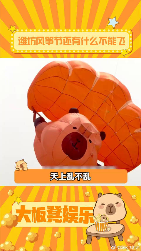 只有你想不到的，没有它放不了的风筝风筝 微博VC计划