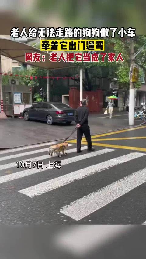 老人为残疾狗制作代步车遛弯
