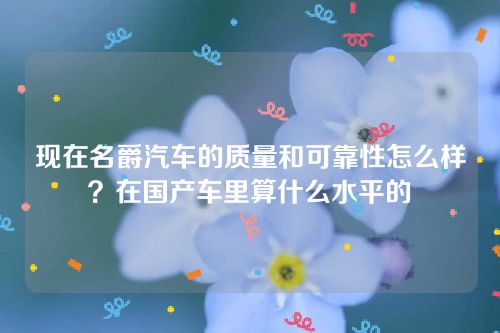 现在名爵汽车的质量和可靠性怎么样？在国产车里算什么水平的-学车科目网
