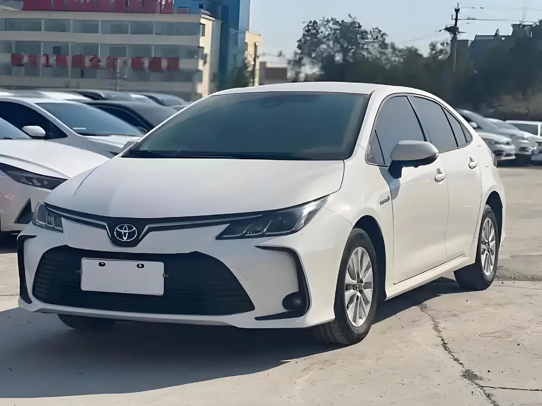 2025年家用车首选!这几款车型空间大、油耗低,备受青睐!