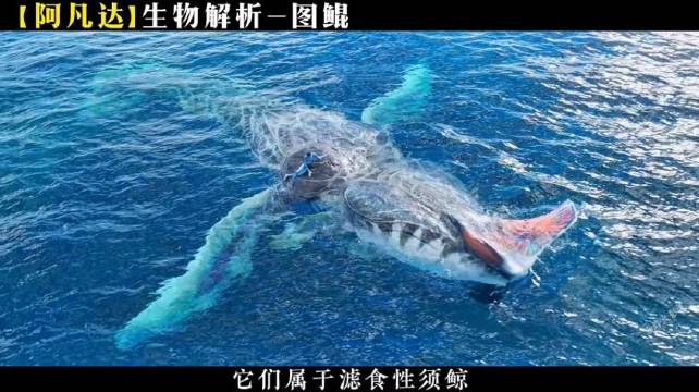 阿凡达图鲲解析：潘多拉海洋远古巨兽与纳威人共生