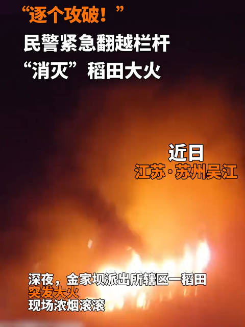民警深夜翻越隔离带扑灭稻田大火