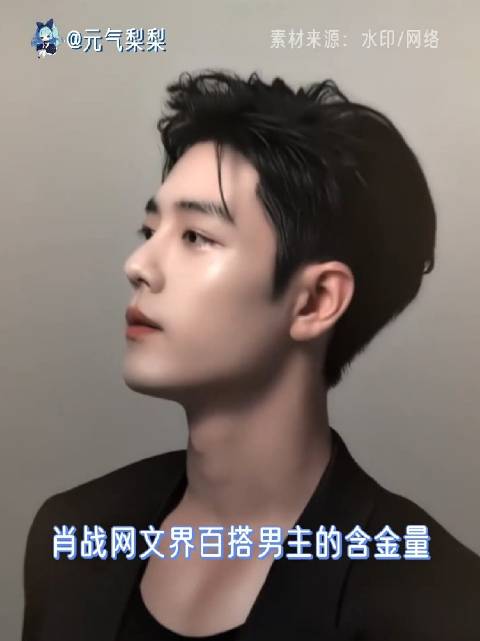 内娱网文改编界严厉的父亲！肖战 藏海传 斗罗大陆 陈情令 十日终焉