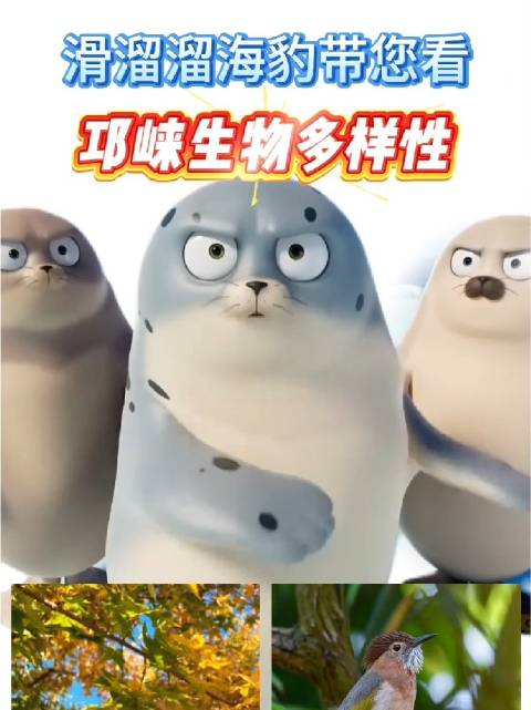 滑溜溜海豹舞亮相邛崃展现生物多样性之美