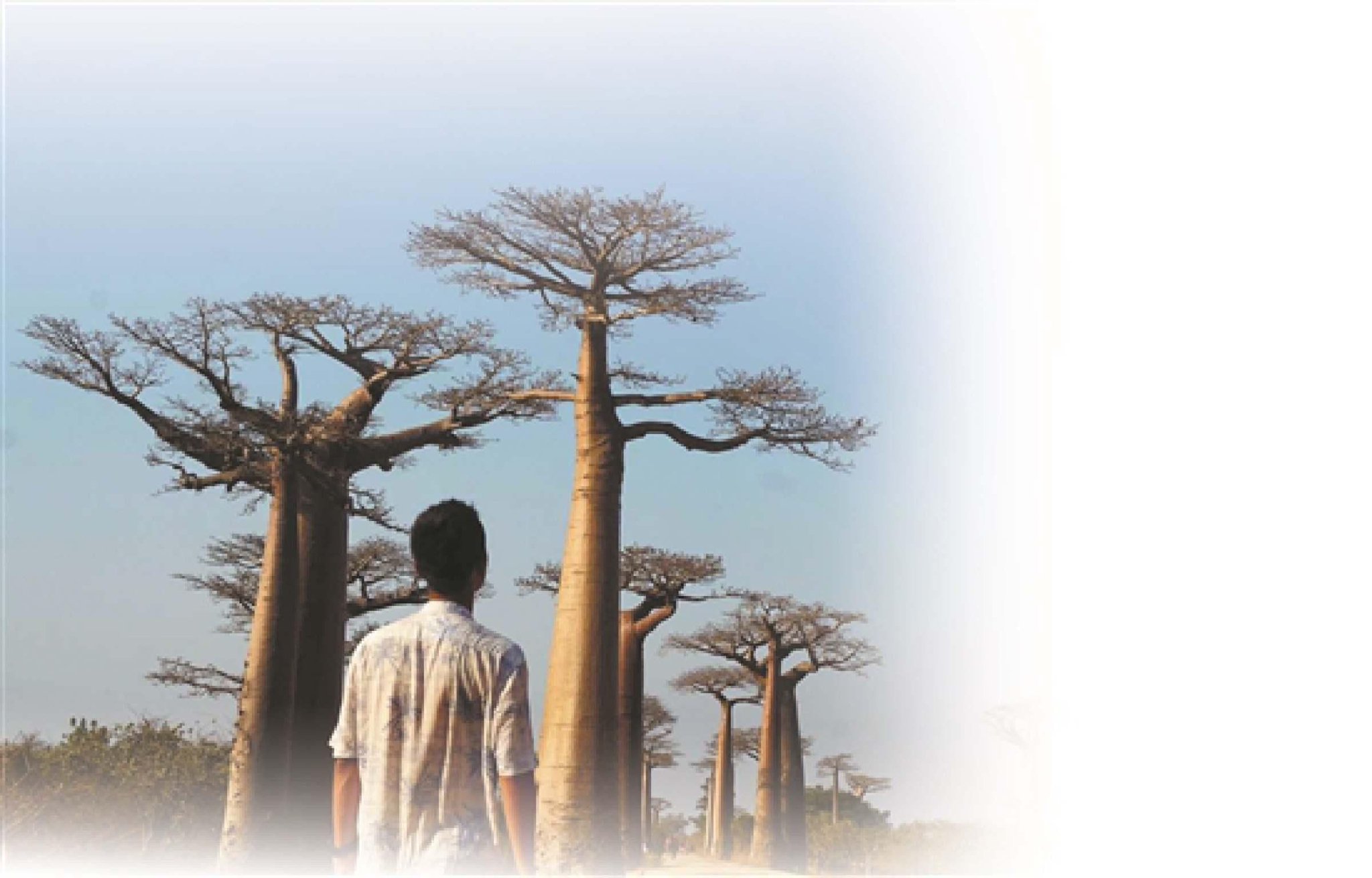 羊城晚报：20岁华师学子“用脚步丈量世界” 300天环游五大洲20国