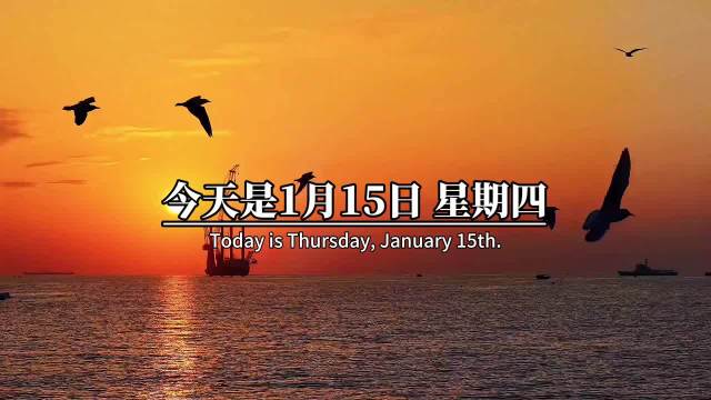 转发分享一段视频内容 14