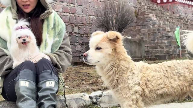 霍思燕母亲节晒幸福，老公儿子颜值高