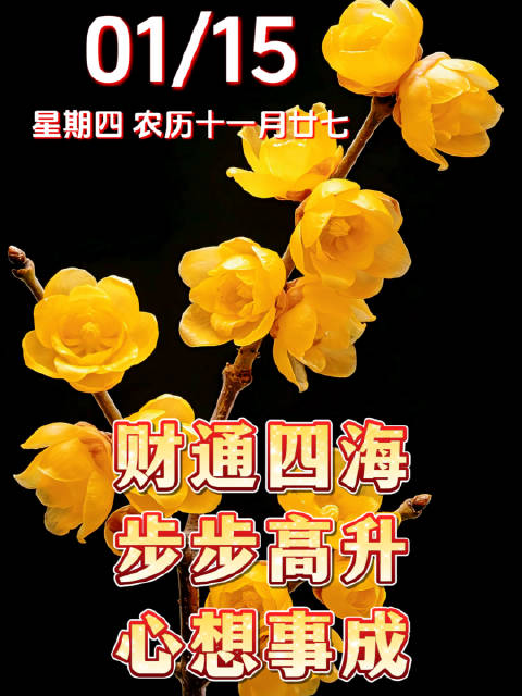 早晨！今日是1月15日，星期四，愿您财通四海、步步高升、心想事成！