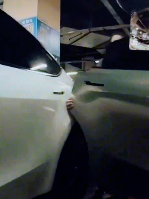 特斯拉哨兵模式真实记录，有时候太讲究也不是什么好事！