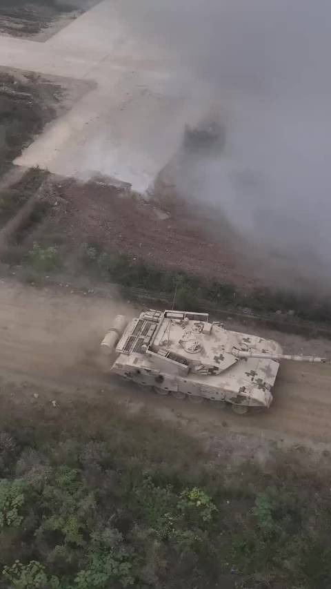 动物世界？NO！巨物世界！