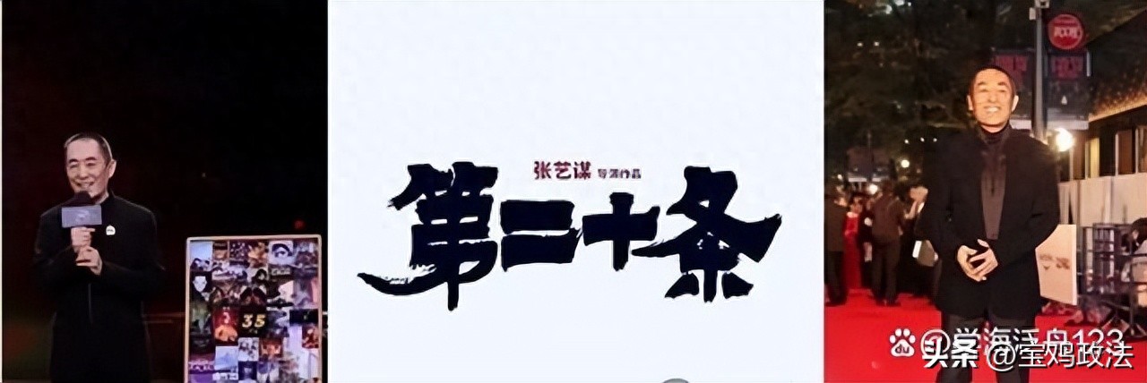 张艺谋电影《第二十条》剧情介绍及影评