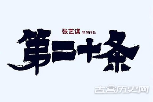 电影《第二十条》讲什么的_电影《第二十条》剧情介绍 - 古宫历史网