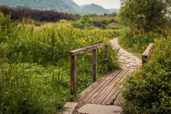 温州雁荡山攻略（温州雁荡山旅游）