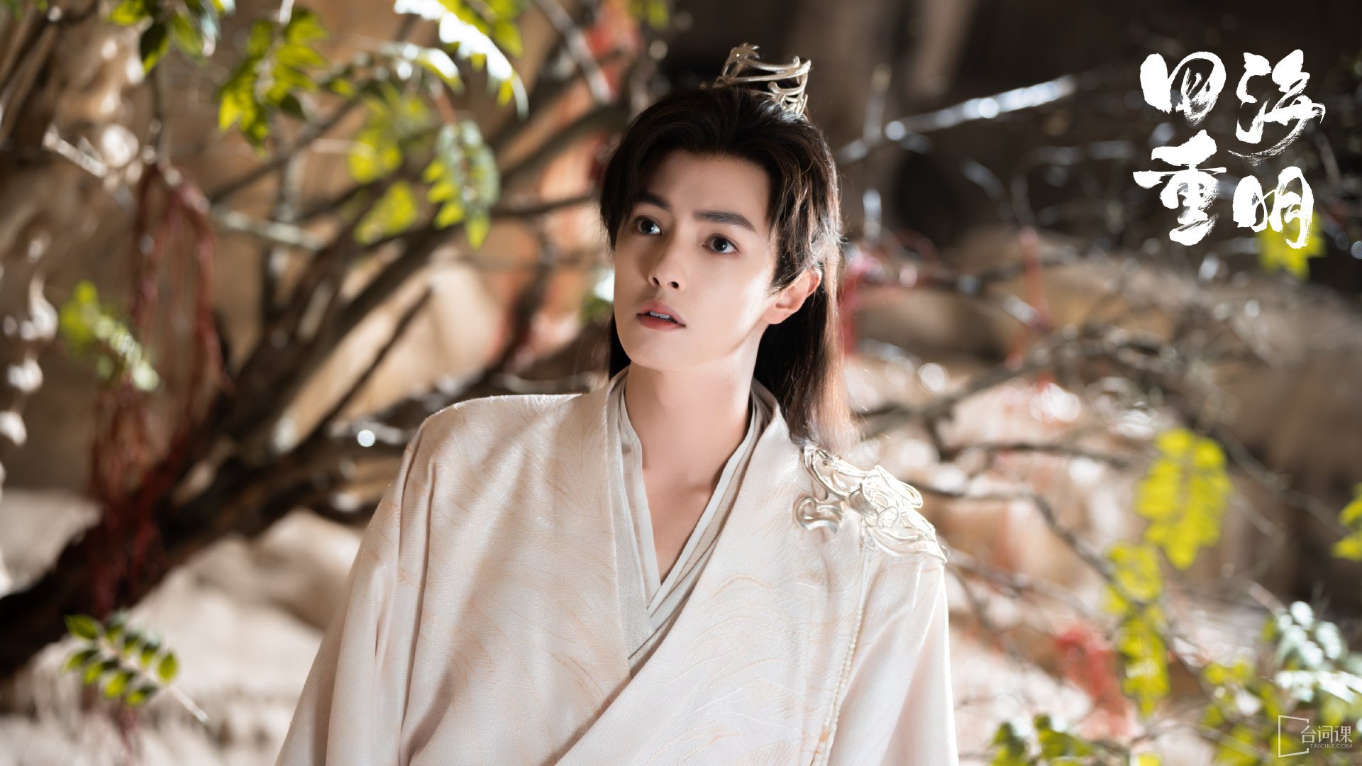 电视剧《四海重明》角色介绍_《四海重明》有哪些角色-台词课