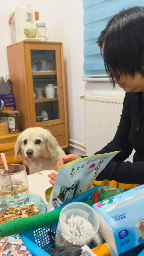 仔仔喜欢吃花生