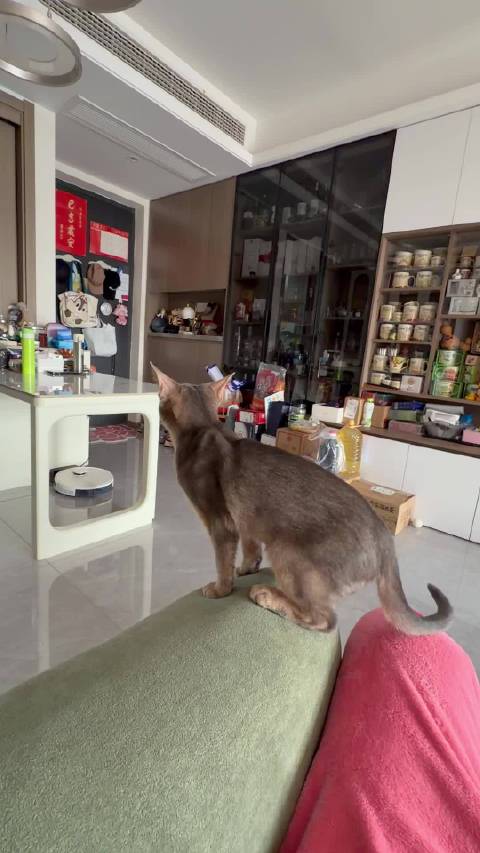 给咱家冬冬吃一下南瓜辅食～ 真是越来越帅气的孩纸！