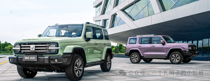 国内“硬派越野车”排第一的车型:2025年上半年,销量已破4万台