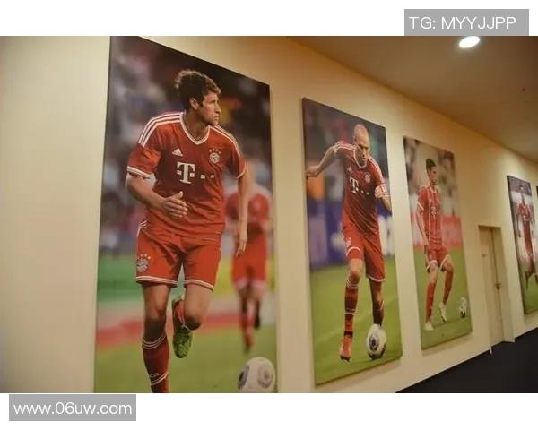 体育明星代言增高产品的市场分析与未来趋势探讨