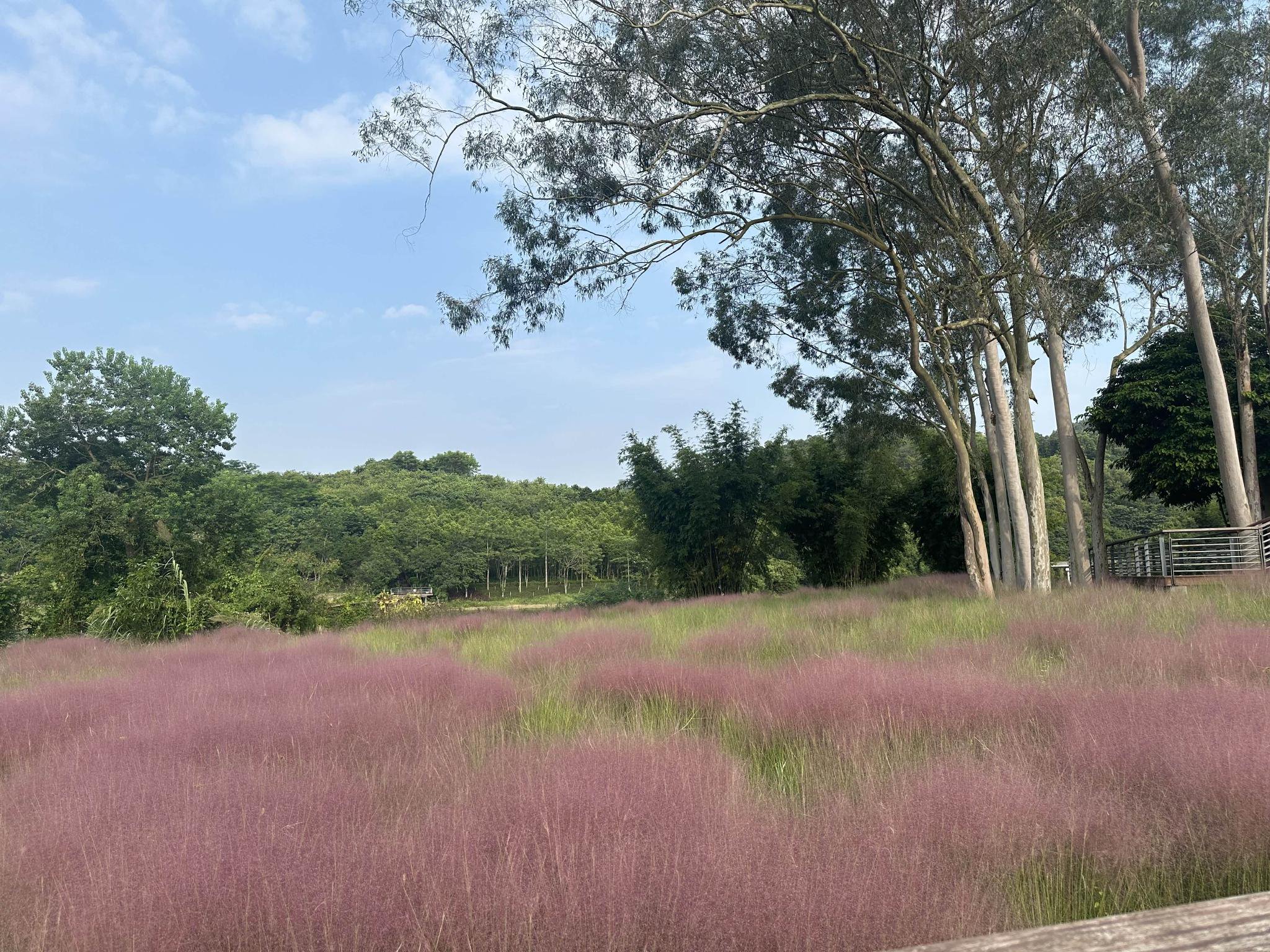 汽车怎么选_悦意07论坛