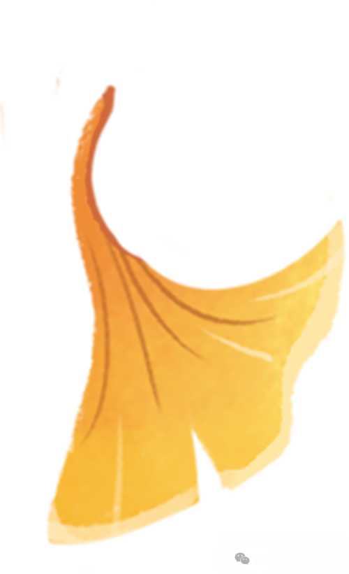 2026北京无车家庭摇号新政:取消申请后轮候次序清零,租牌更刚需?