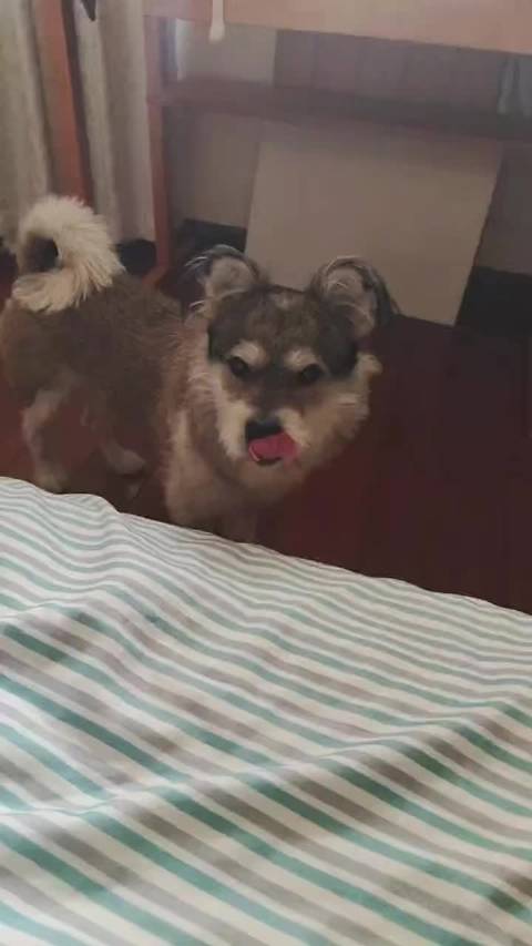 我想一直和我的仔仔待在一起 快点快点快点快点回邵阳！