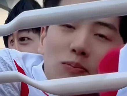 太萌了简直！记录下孙佳澳门之旅的生动表情包