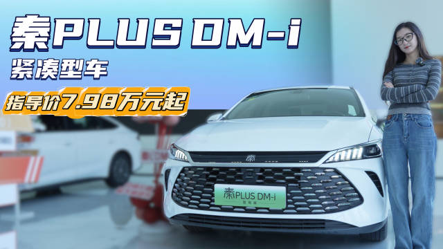 纯电续航210km 新秦PLUS DM-i 能否继续“霸榜”国民家轿？