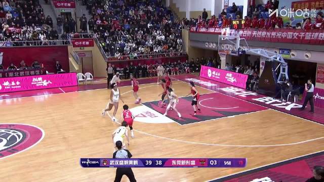 广东女篮杨力维组织进攻，外援终结三人配合