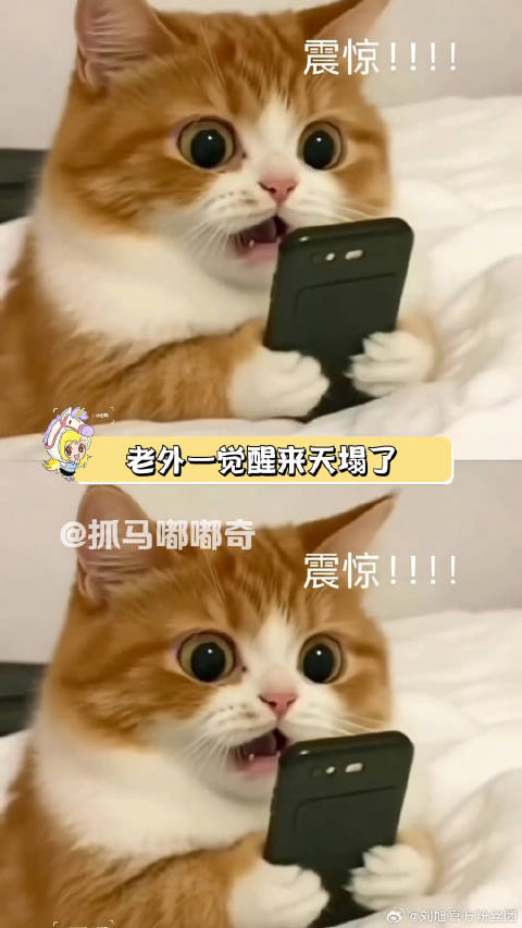 外国人惊叹圣诞老人变鳌拜、阿拉丁成中国人