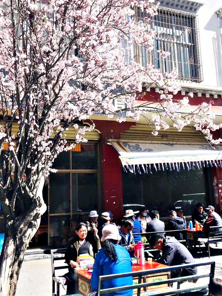 读懂西藏茶文化_西藏自治区文化和旅游厅