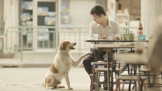 平凡生活显伟大，世间善良需温柔以待