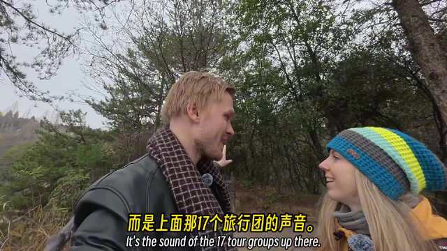 张家界石英砂岩柱成《阿凡达》灵感来源，4亿年雕琢震撼世人