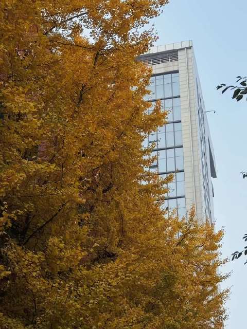 我不是柳岩，不能猜测你