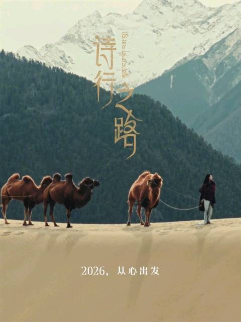 白百何2026年林芝行，穿越世界屋脊寻内心答案