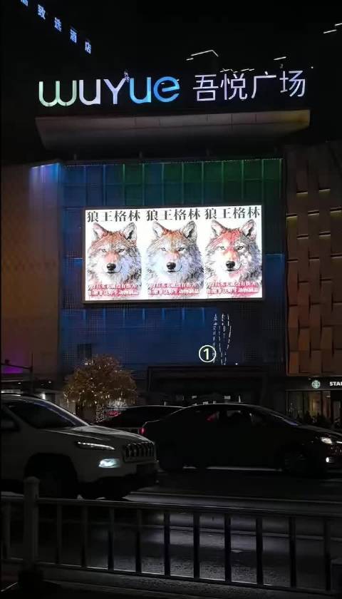 狼王格林与人类母亲李微漪的草原传奇