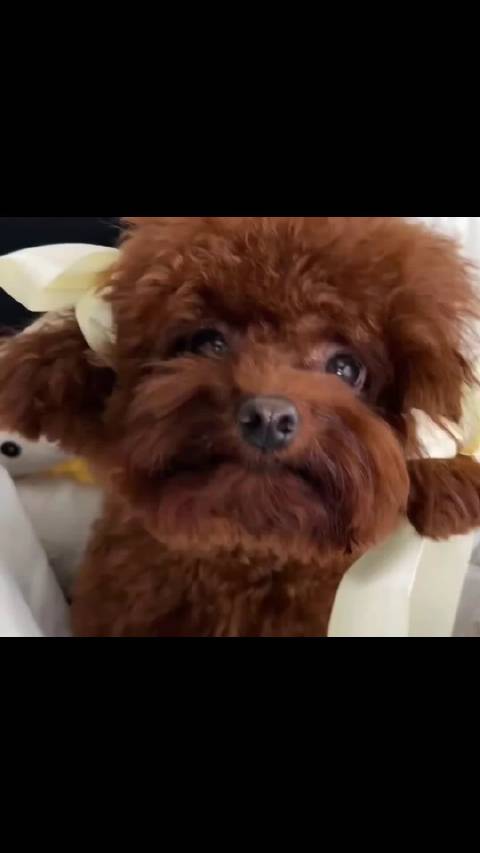 今天不发爸妈发结晶！