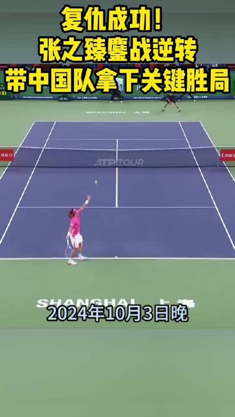 张之臻逆转胜局助中国队赢网球联合杯