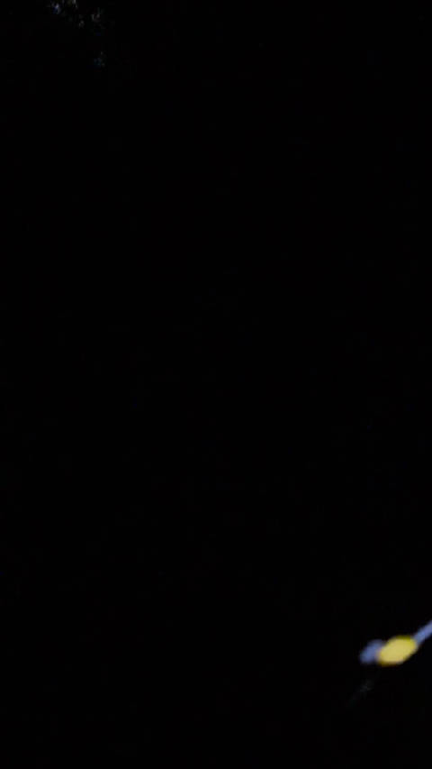 2025.7.12 灵谷寺萤火虫 这些温柔的画面都走一遍