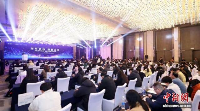 图为大会现场。 主办方供图