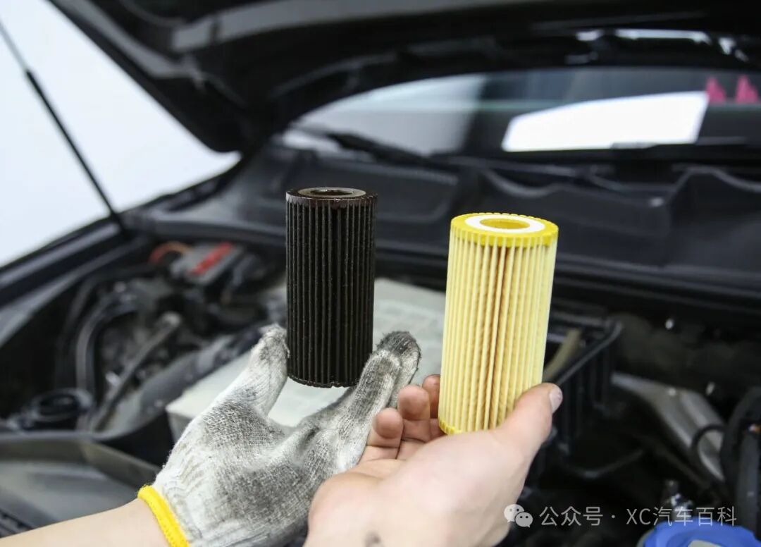 机油滤清器多久换一次