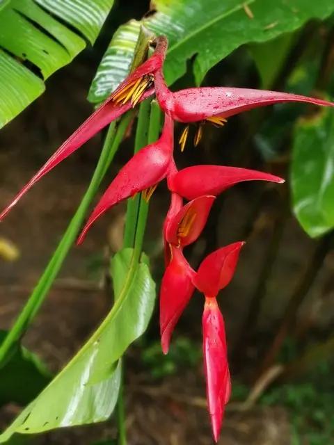 3-5万预算电车选购指南