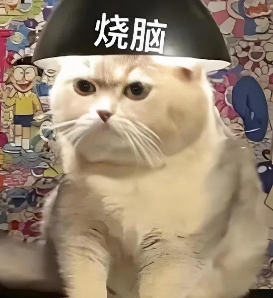 都说新能源好,但纯电、增程、插电、油混…你知道你适合哪种吗?