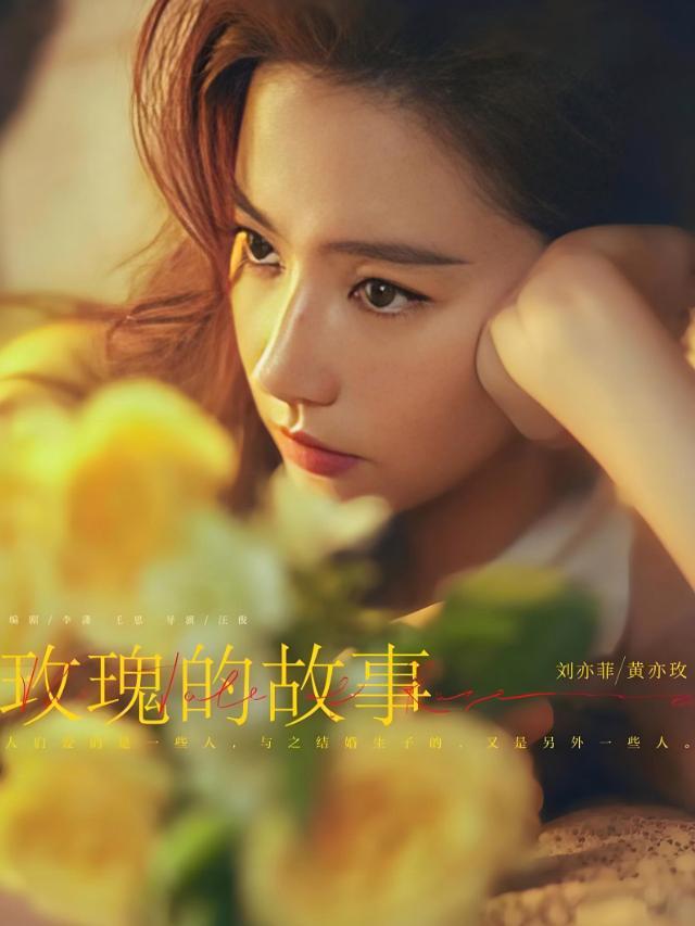 《玫瑰的故事》:一部关于女性成长与情感的都市情感剧|万茜|爱情|佟大为|刘亦菲_订阅
