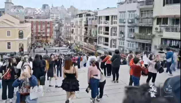 陈乔恩躺地拍照为武大靖找角度