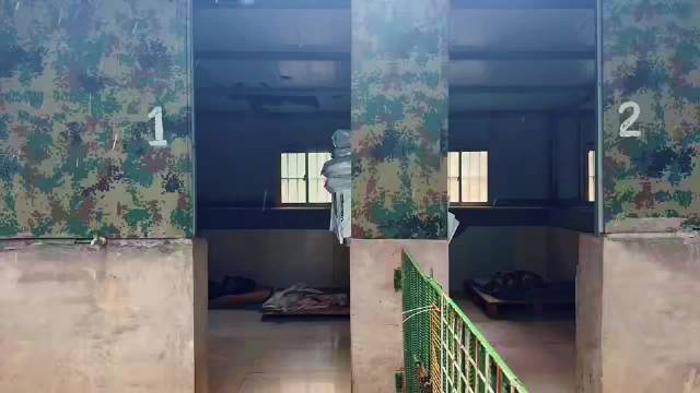 杭州流浪动物救助基地为毛孩子小窝换冬装