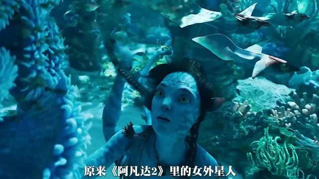 原来阿凡达二里的女外星人脱了皮个个是美女