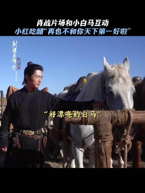 肖战出演射雕英雄传侠之大者郭靖