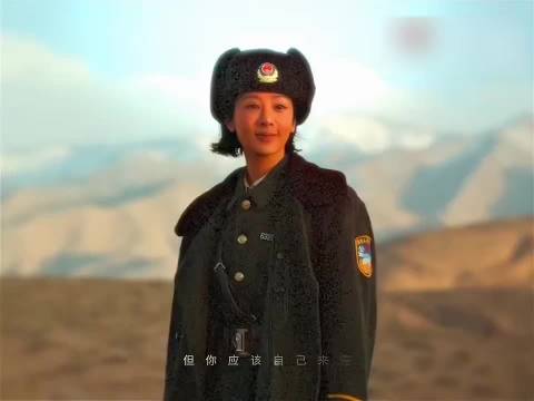 杨紫高原实拍188天，诠释生命树坚韧生命力