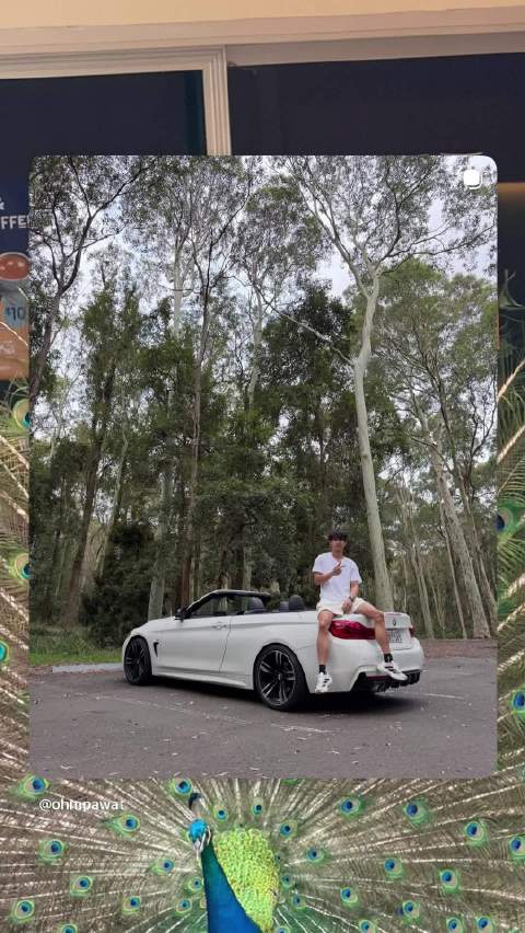 这个孔雀配的很好 爱翘尾巴的小孔雀 风景碎片也来啦