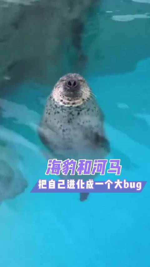 河马海豹进化引热议，水路双栖动物成焦点